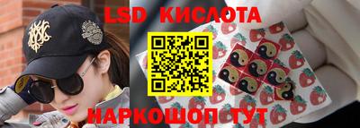 крисы Можга