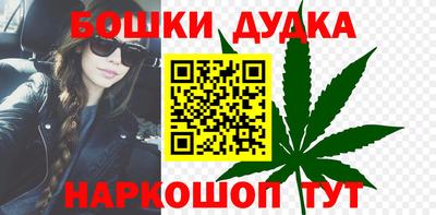 крисы Можга