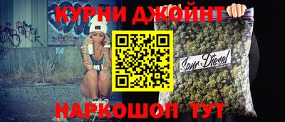 крисы Можга