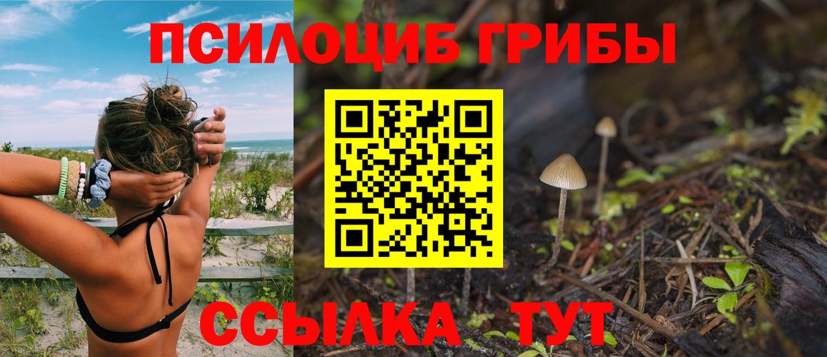Галлюциногенные грибы прущие грибы  Вход с VPN  Черкесск 